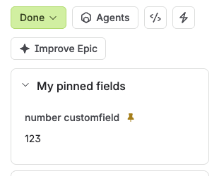 A work item in Done viewed by a user outside the group: the number field shows its value 123 as plain text