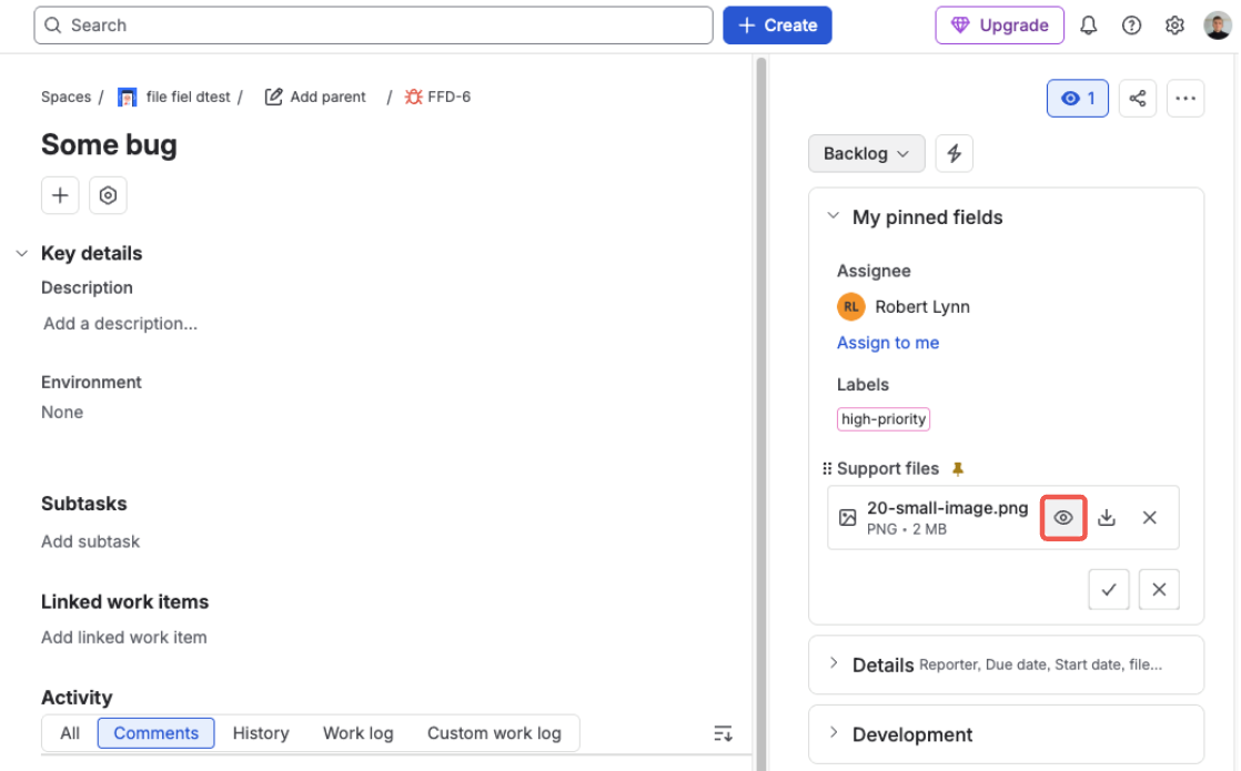 Jira issue view — the Support files field holding an image file, with preview, download, and delete actions on the file; the preview action is highlighted