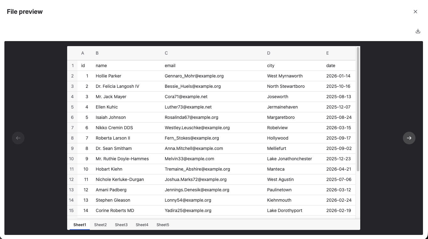 The File Field preview open full-screen on an Excel workbook — a grid of contact rows with column letters A to E across the top and numbered rows down the side, tabs for Sheet1 through Sheet5 under the grid with Sheet1 selected, arrows for the previous and next file at the sides, and download in the row above it